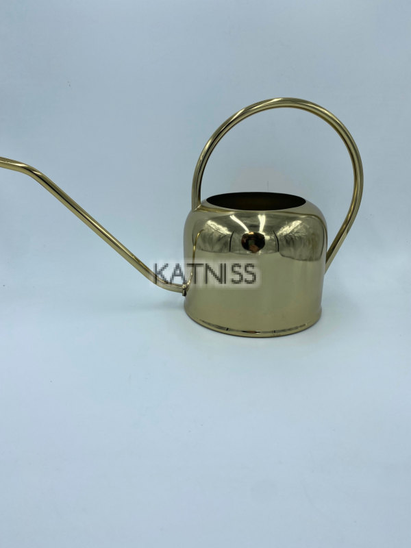 Златист чайник / Gold Kettle